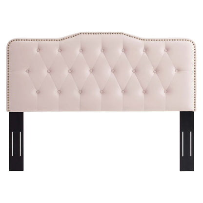 Sophia tufted velvet headboard blush pink with diamond tufting and nailhead trim on legs on Tampa Home & Garden Store
