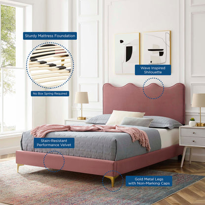 Modway Current Performance Velvet queen platform bed in dusty rose with gold metal legs on Tampa Home & Garden Store