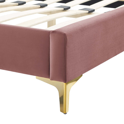 Current Performance Velvet Queen Platform Bed by Modway in dusty rose velvet with gold legs on Tampa Home & Garden Store