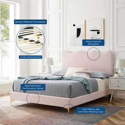 Current Performance Velvet Queen Platform Bed by Modway in dusty rose velvet with gold legs on Tampa Home & Garden Store