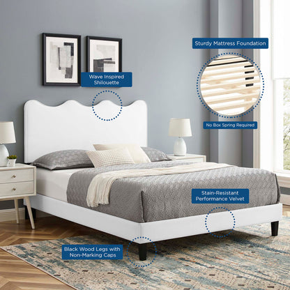 Performance Velvet Queen Platform Bed by Modway in dusty rose & gray velvet with no box spring on Tampa Home & Garden Store