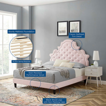 Gwyneth tufted performance velvet queen platform bed by Modway in soft pink with black wood legs on Tampa Home & Garden Store