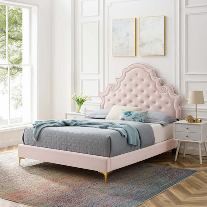 Gwyneth Tufted Velvet Full Platform Bed in blush pink with button-tufted headboard on Tampa Home & Garden Store