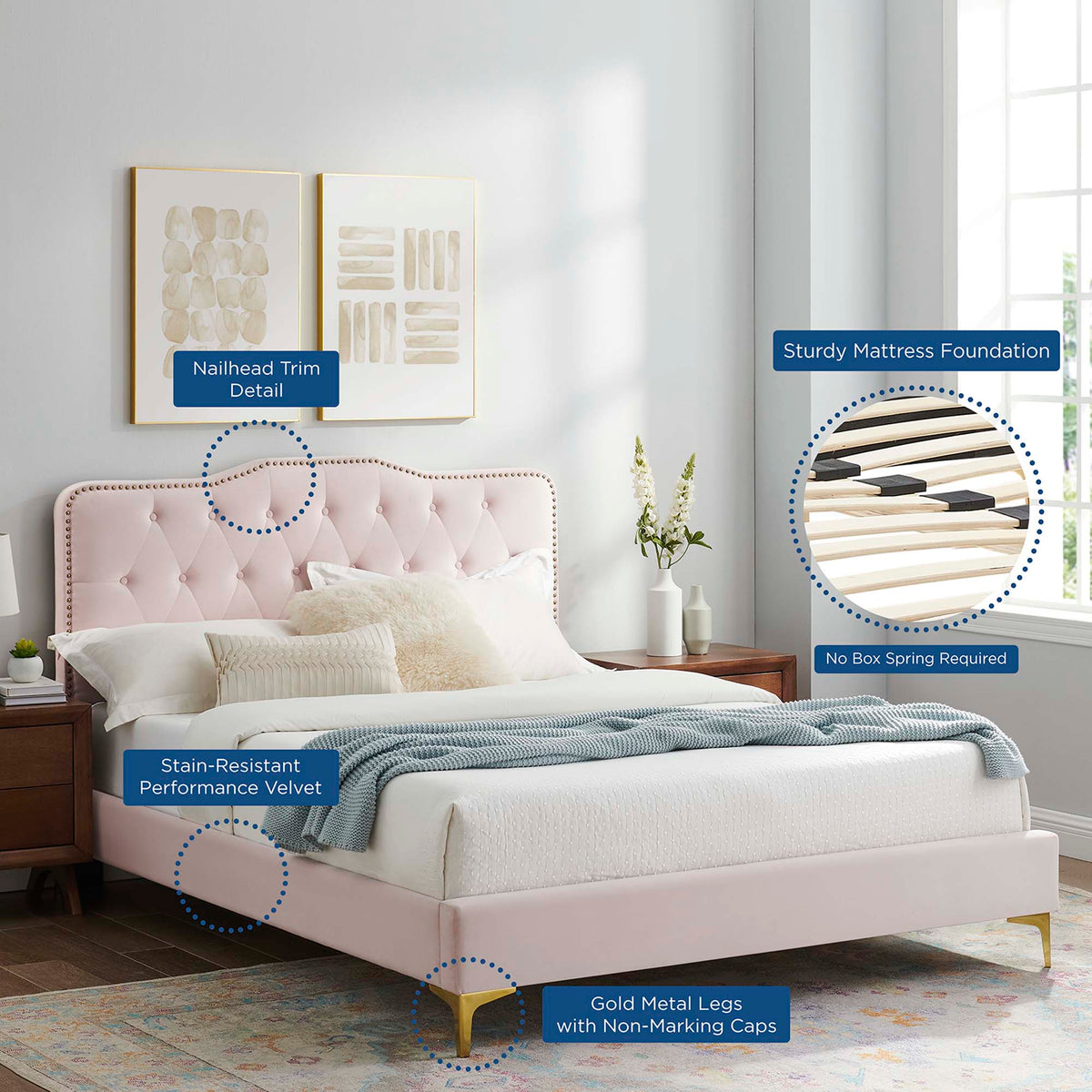 Amber tufted performance velvet platform bed by Modway with gold metal legs on Tampa Home & Garden Store