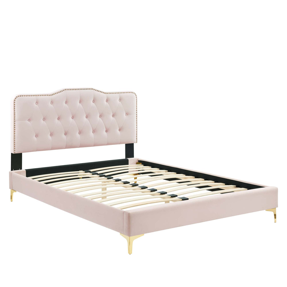 Amber tufted performance velvet platform bed by Modway with gold-toned legs on Tampa Home & Garden Store