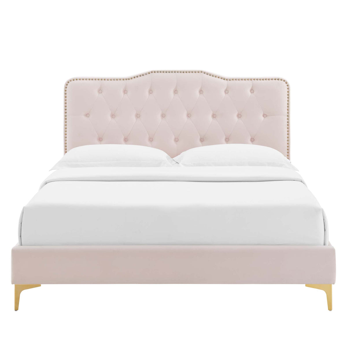 Amber Tufted Velvet Platform Bed with curved headboard and gold nailhead trim on Tampa Home & Garden Store