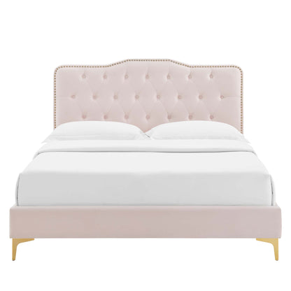 Amber Tufted Velvet Platform Bed with curved headboard and gold nailhead trim on Tampa Home & Garden Store