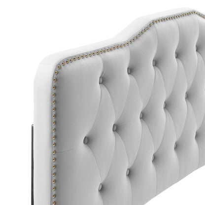 Amber tufted performance velvet platform bed with gold nailhead trim, light gray upholstery on Tampa Home & Garden Store