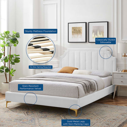 Sienna Performance Velvet King Platform Bed by Modway in light gray velvet with gold metal legs on Tampa Home & Garden Store