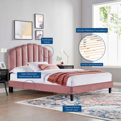 Daisy Velvet Platform Bed blush pink with curved headboard and black legs on Tampa Home & Garden Store