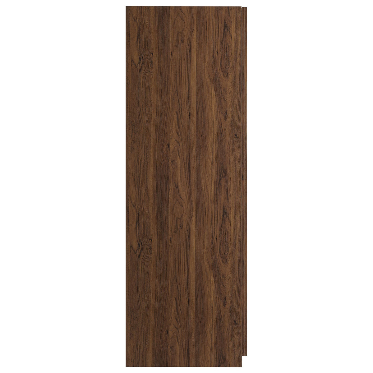 Render 2-Door Wardrobe Closet woodgrain panel in walnut brown finish for bedroom storage on Tampa Home & Garden Store