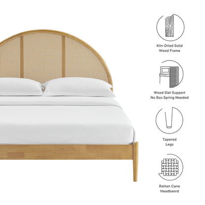 Queen Bed with Arched Rattan and Wooden Frame