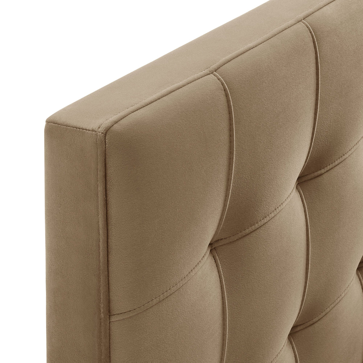 Lily stain-resistant performance velvet headboard by Modway tan velvet with piped seams on Tampa Home & Garden Store