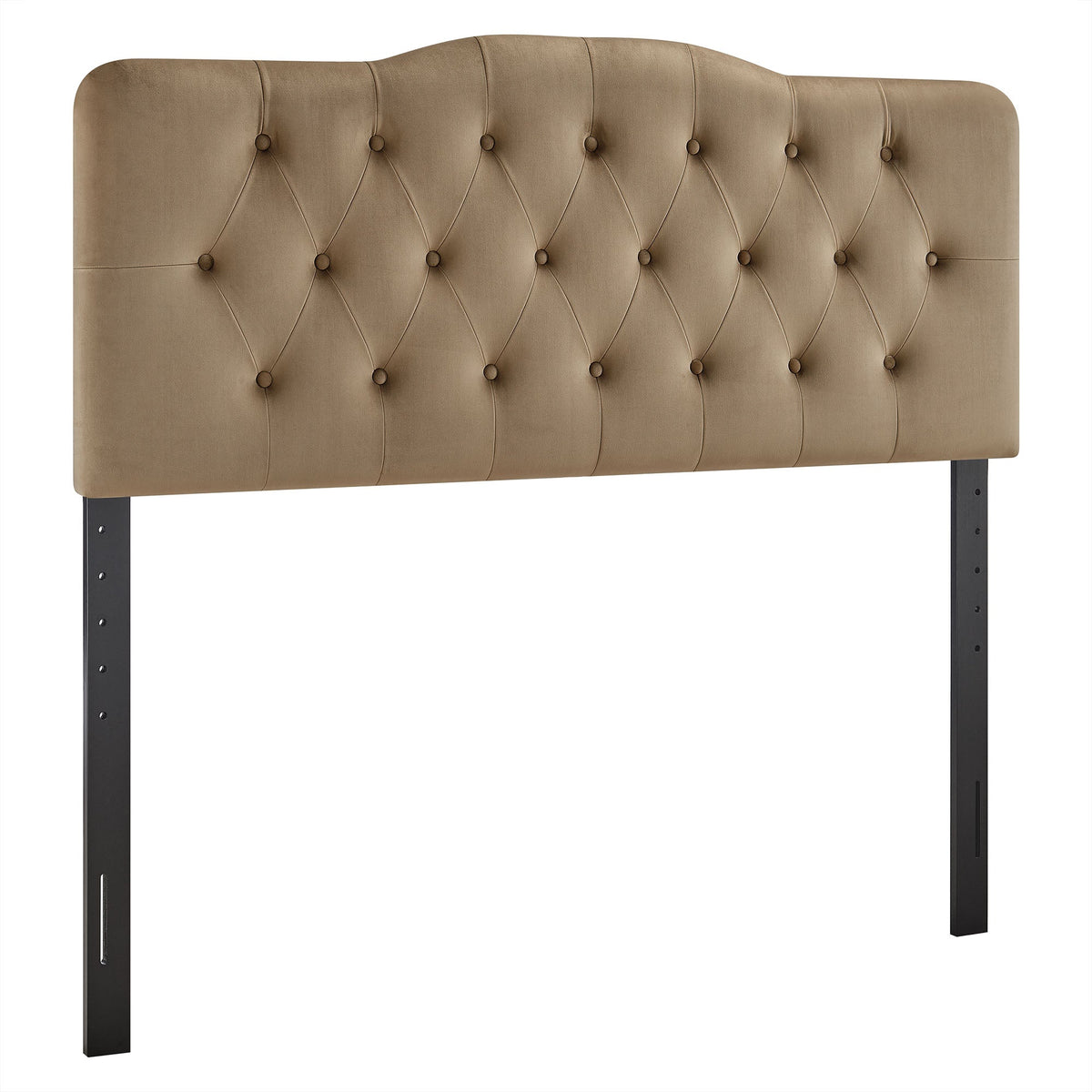 Annabel velvet headboard by Modway in tan with tufting and buttons on black metal legs on Tampa Home & Garden Store