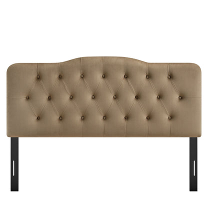 Annabel stain-resistant velvet headboard in tan with diamond tufting by Modway on Tampa Home & Garden Store