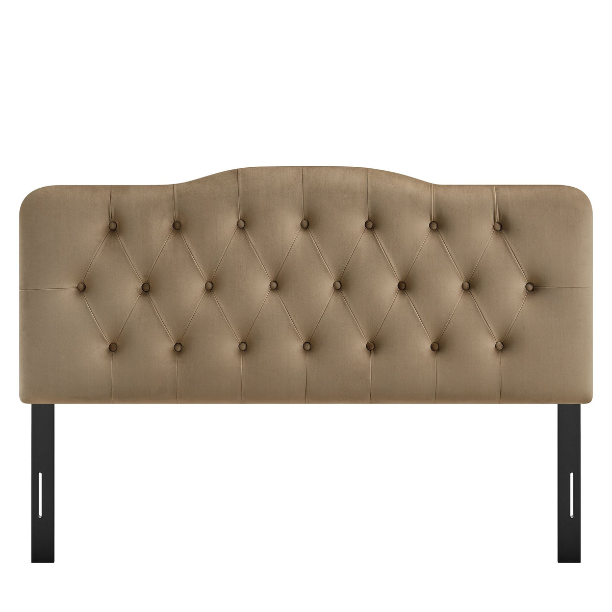Annabel stain-resistant velvet headboard in tan with diamond tufting and curved top, black legs on Tampa Home & Garden Store