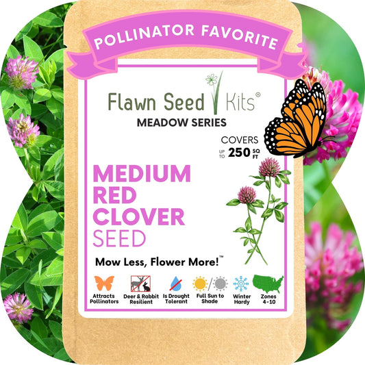 Seed packet: Medium Red Clover Seed by Flawn Seed Kits, Meadow Series, pollinator seeds on Tampa Home & Garden Store