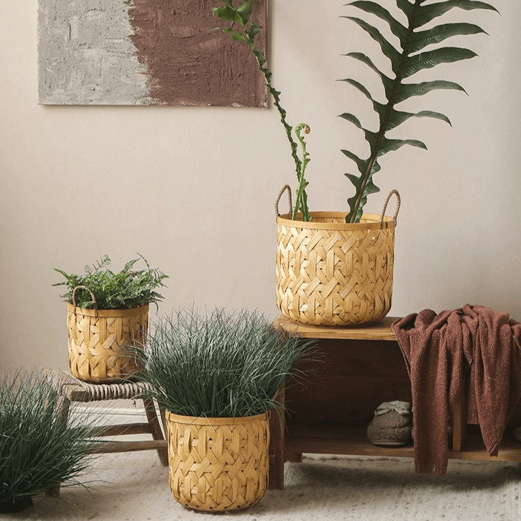 Bamboo Woven Storage Basket set of three natural baskets with handles, paired with potted plants on Tampa Home & Garden Store