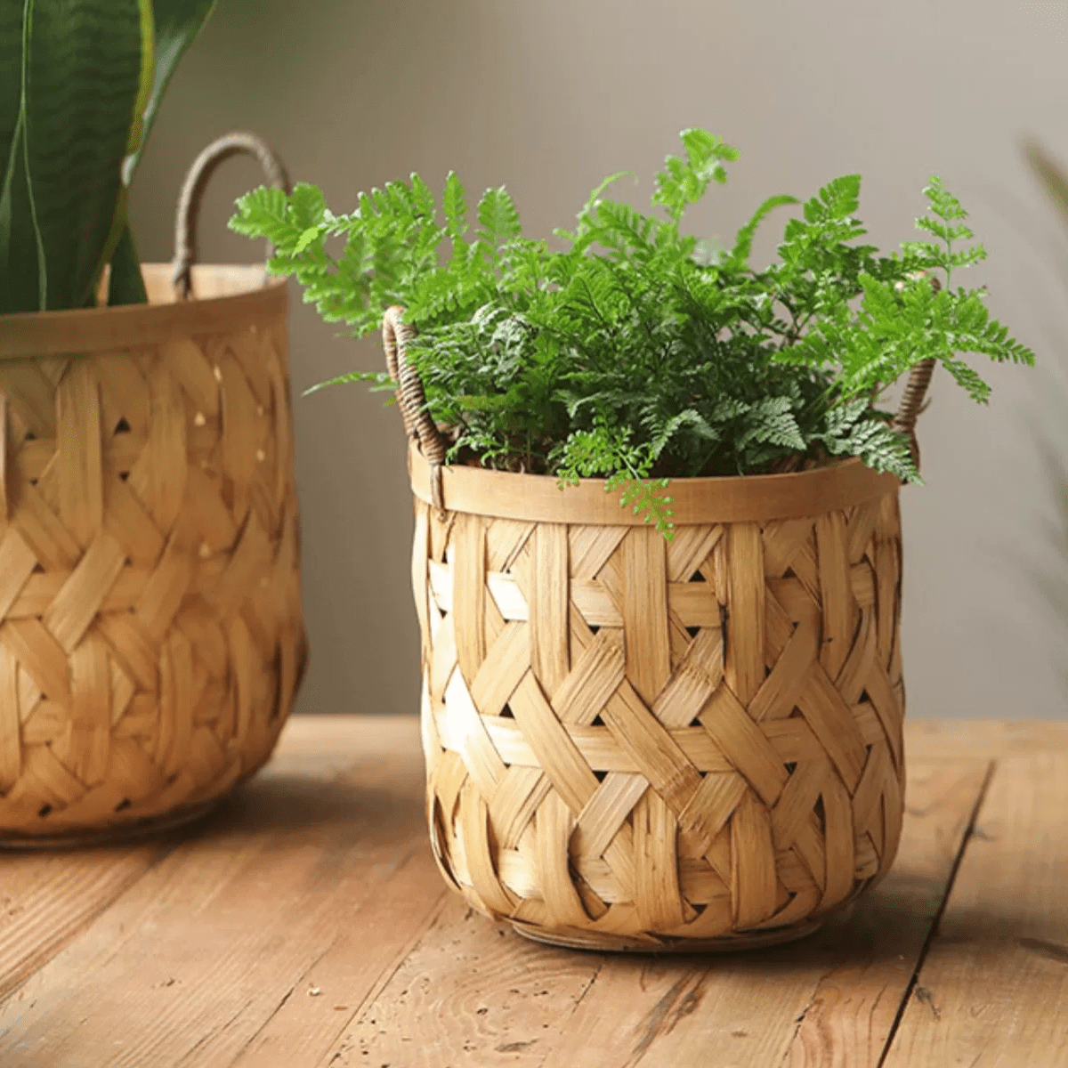Bamboo Woven Storage Basket with decorative fern, two baskets set, RusticReach on Tampa Home & Garden Store