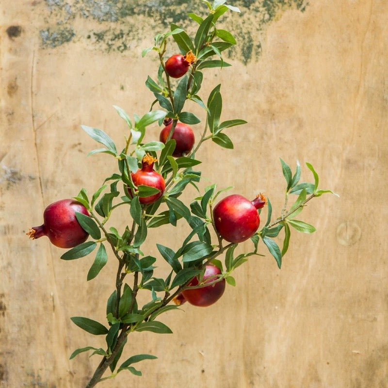 Big Fruit Faux Pomegranate Stem 32in tall red pomegranates RusticReach artificial plant on Tampa Home & Garden Store