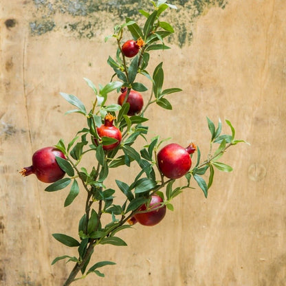Big Fruit Faux Pomegranate Stem 32in tall red pomegranates RusticReach artificial plant on Tampa Home & Garden Store