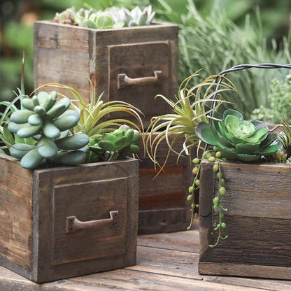 Farmhouse wooden box planter with succulents, three weathered brown crates on Tampa Home & Garden Store