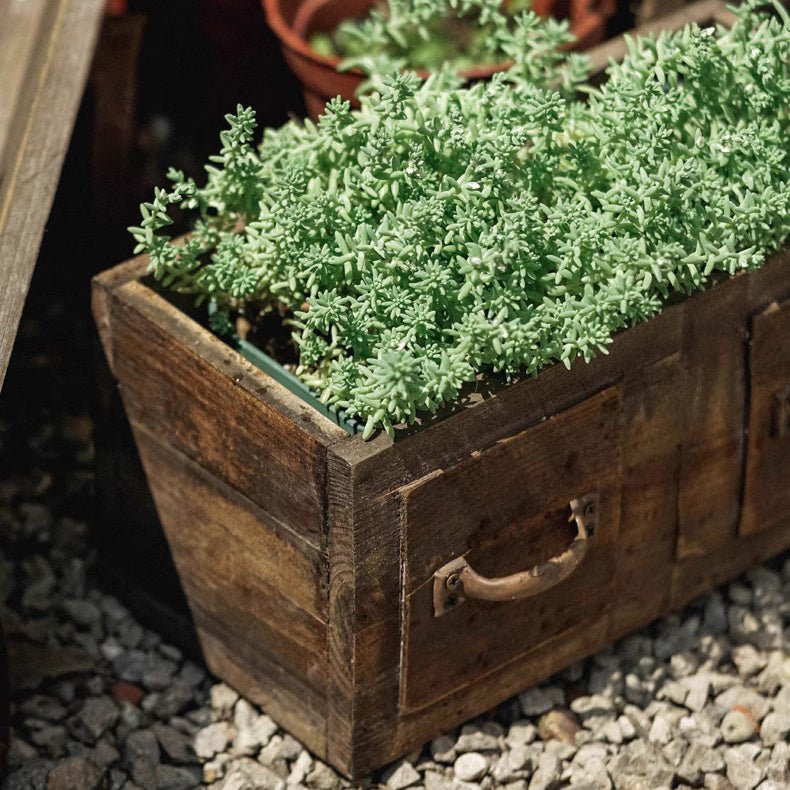 Farmhouse wooden box planter with weathered brown wood filled with green succulents on Tampa Home & Garden Store
