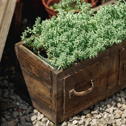 Farmhouse wooden box planter with weathered brown wood filled with green succulents on Tampa Home & Garden Store