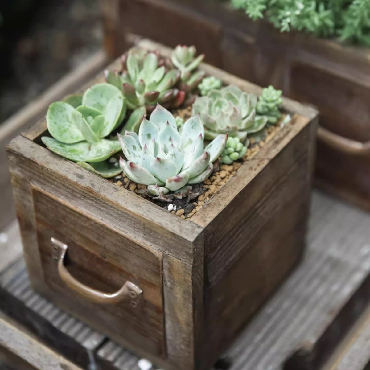 Farmhouse wooden planter box with assorted succulents from RusticReach in brown wood on Tampa Home & Garden Store