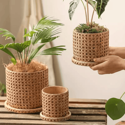 Faux Woven Grid Cement Pot set of three by RusticReach in natural tan with plants on Tampa Home & Garden Store