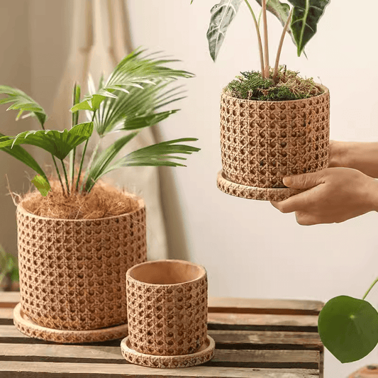 Faux Woven Grid Cement Pot set of three by RusticReach in natural tan with plants on Tampa Home & Garden Store