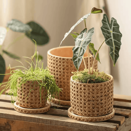 Faux Woven Grid Cement Pot set of 3 by RusticReach in beige with saucers and plants on Tampa Home & Garden Store