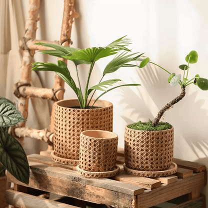 RusticReach Faux Woven Grid Cement Pot set of 3; palm pot, plant pot, moss pot on crate on Tampa Home & Garden Store