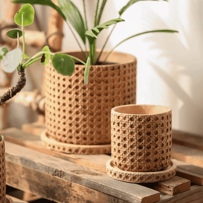 Faux Woven Grid Cement Pot set of 2 by RusticReach; large planter with a leafy green plant and a smaller matching pot on coasters on wood table on Tampa Home & Garden Store
