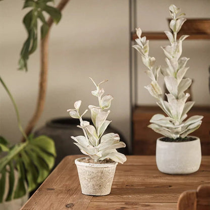 Realistic green plant pair in ceramic pots, RusticReach silver foliage on wood table on Tampa Home & Garden Store