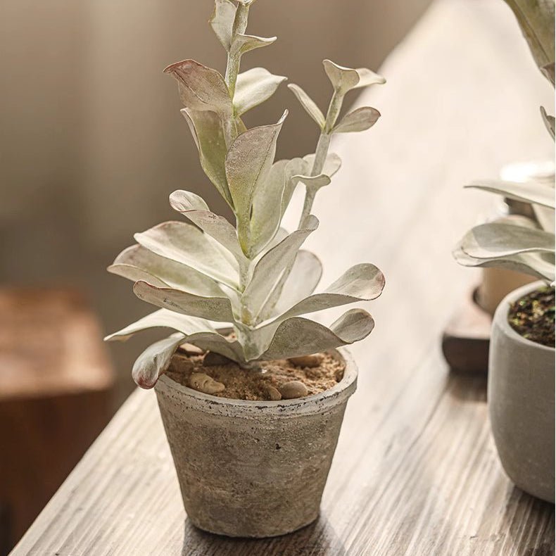 RusticReach Realistic green plant in ceramic pot, grey textured planter on Tampa Home & Garden Store