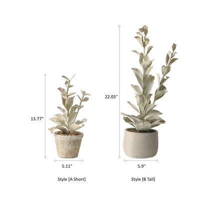 Realistic green plant in ceramic pots, set of 2 (Style A Short) and (Style B Tall), RusticReach on Tampa Home & Garden Store
