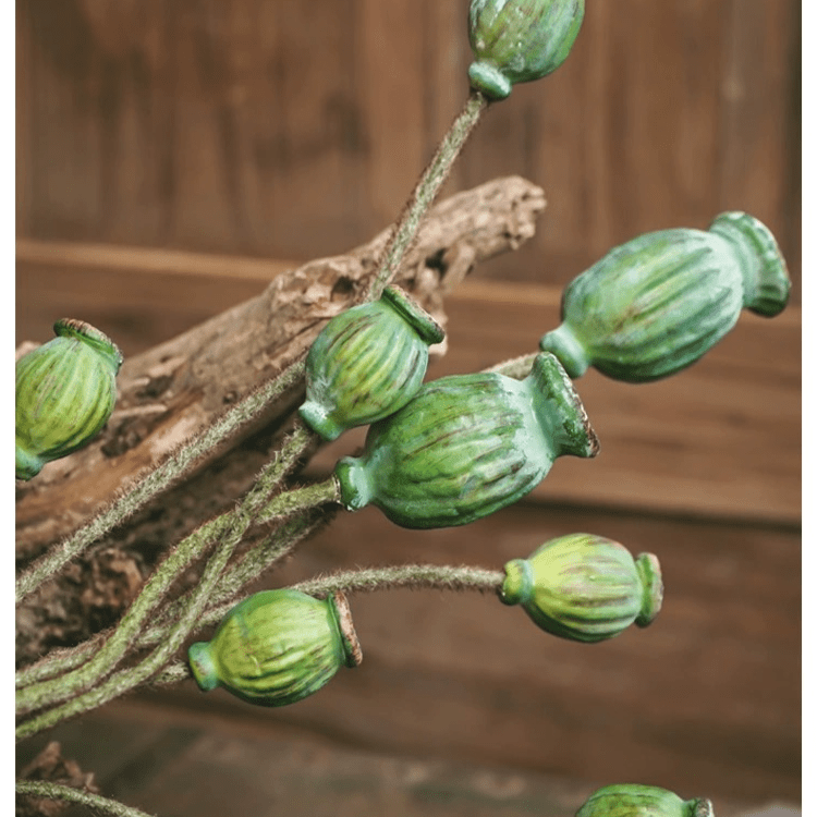Green poppy fruit stem 3-stem bundle, 30.7 tall with textured green seed pods RusticReach on Tampa Home & Garden Store