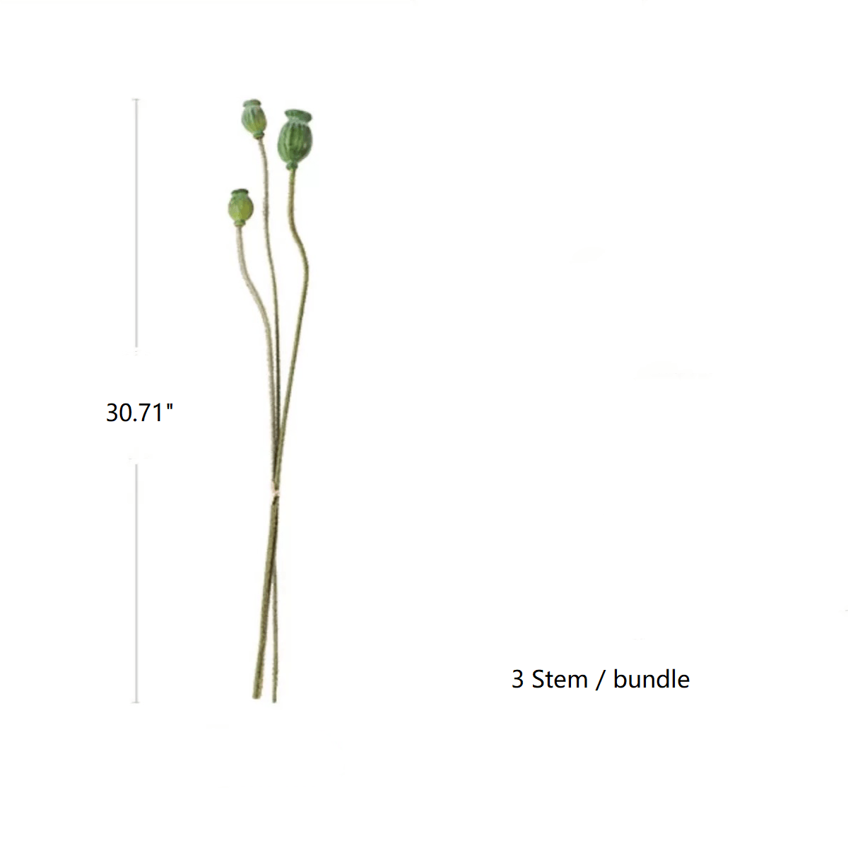 Green Poppy Fruit Stem 30.7in Tall 3-Stem Bundle RusticReach with green seed pods on Tampa Home & Garden Store