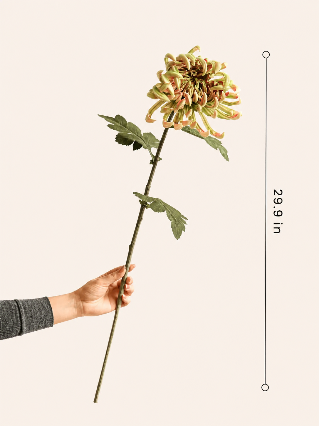 RusticReach Heirloom Spider Chrysanthemum stem, 29.9in artificial flower with green-yellow bloom on Tampa Home & Garden Store