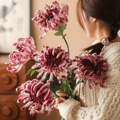 Heirloom Spider Chrysanthemum stems by RusticReach, pink flowering plant, 29.9 in tall on Tampa Home & Garden Store