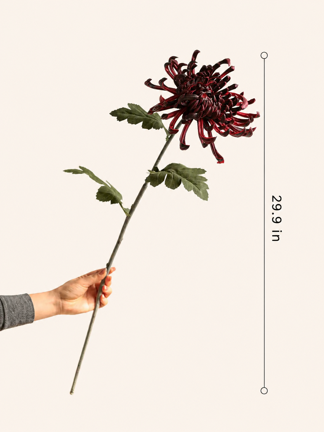 RusticReach Heirloom Spider Chrysanthemum Stem, burgundy faux bloom with green leaves, 29.9in on Tampa Home & Garden Store