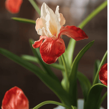 Silk Iris Flower 22in Tall by RusticReach; red-orange outer petals with white inner petals on Tampa Home & Garden Store