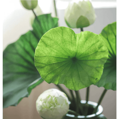 Artificial Lotus Flower and Seedpod RusticReach green leaf white seedpods in a vase on Tampa Home & Garden Store