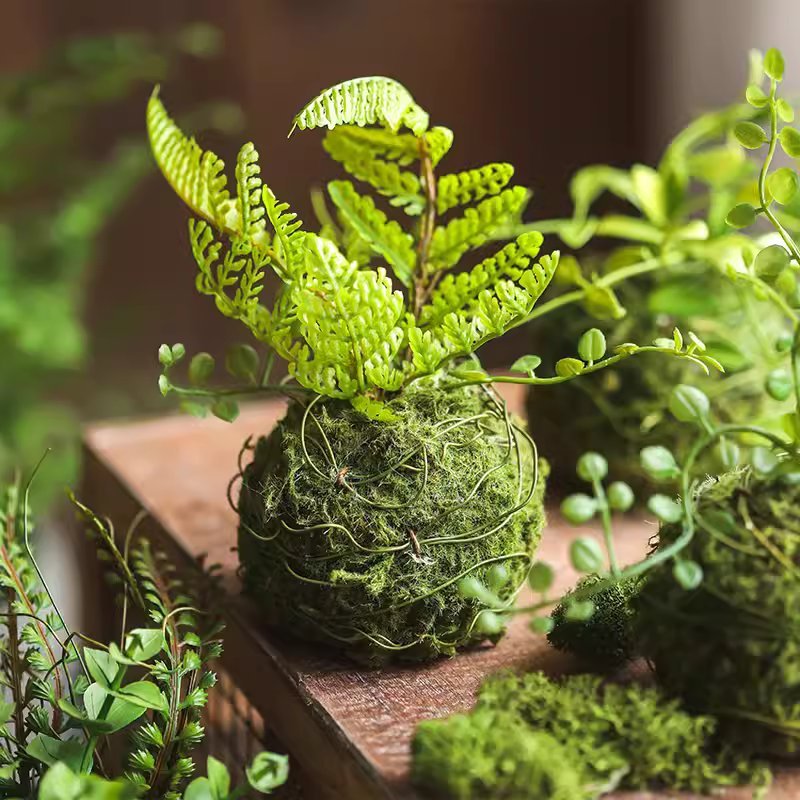 Mossy Meadow Foam Ball, green moss-covered foam ball with ferns, RusticReach on Tampa Home & Garden Store