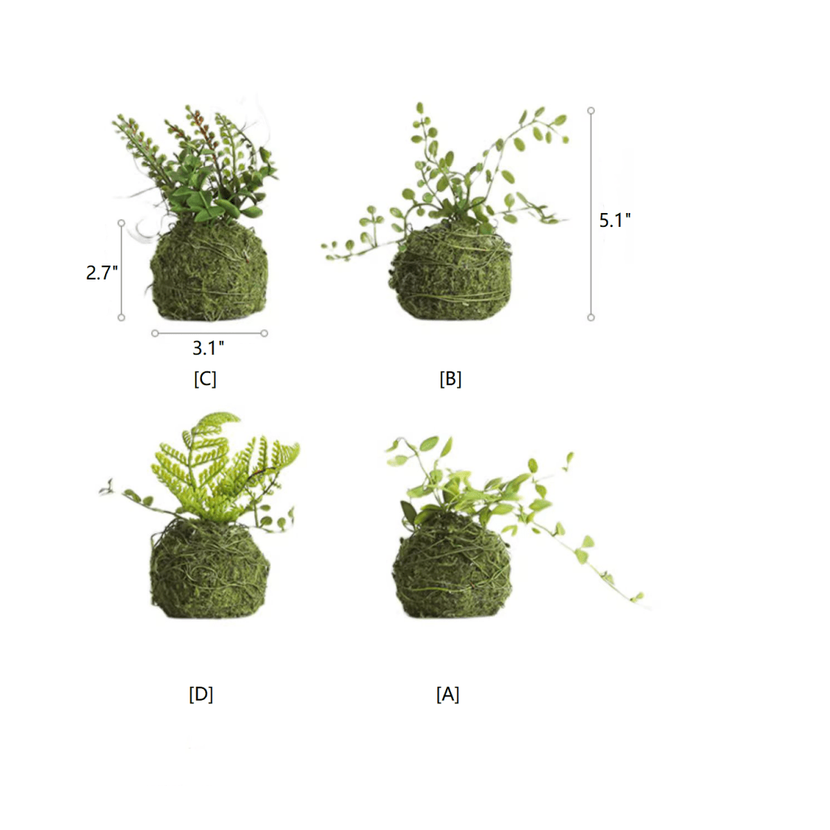Mossy Meadow Foam Ball by RusticReach - four mossy foam ball planters with trailing greens on Tampa Home & Garden Store