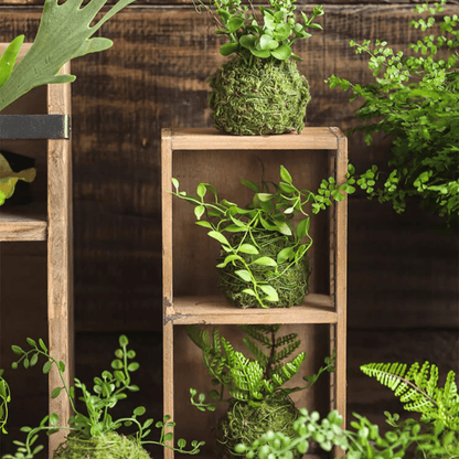Mossy Meadow Foam Balls by RusticReach, moss-covered foam balls with greenery on a display on Tampa Home & Garden Store
