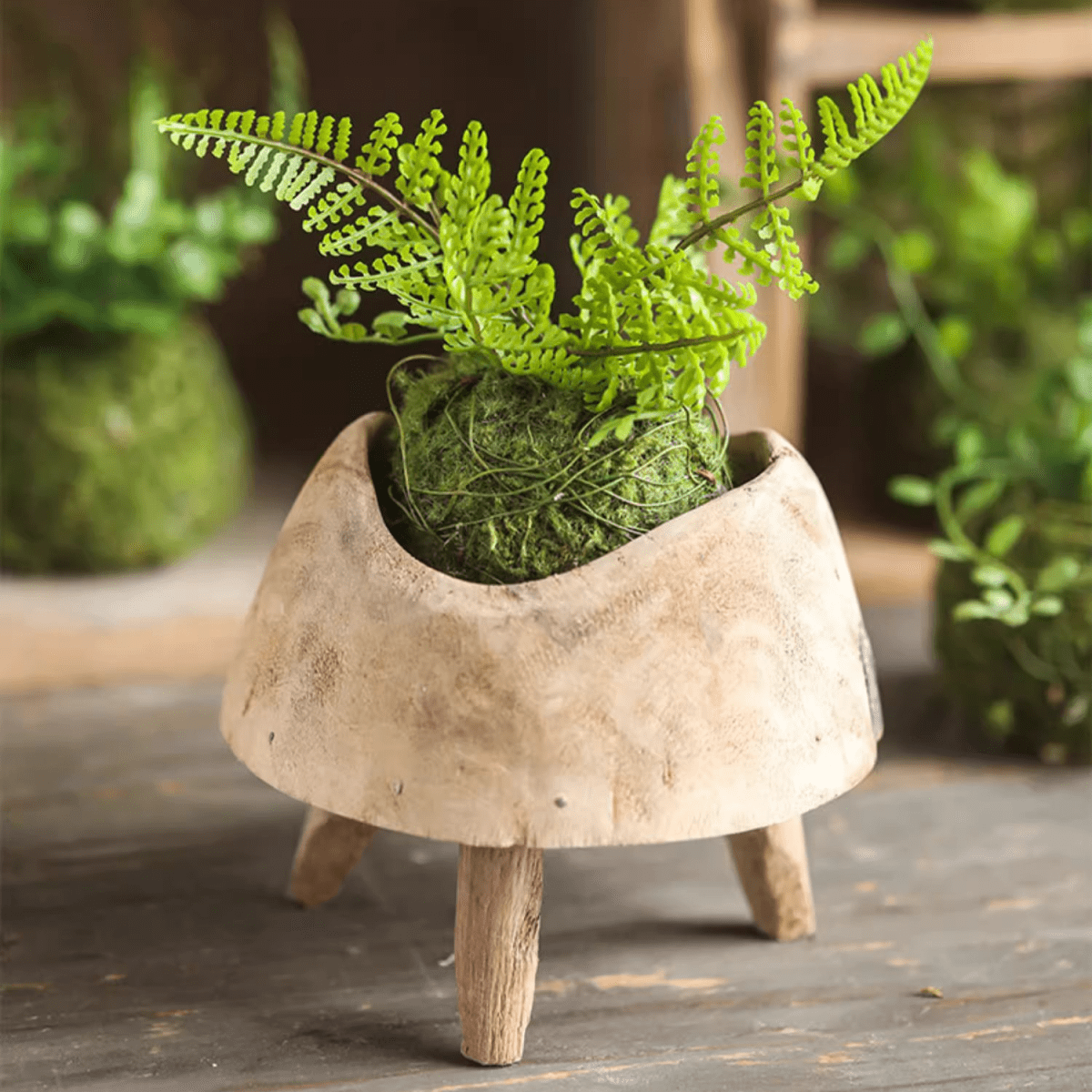 Mossy Meadow Foam Ball by RusticReach on a natural wood pedestal stand on Tampa Home & Garden Store