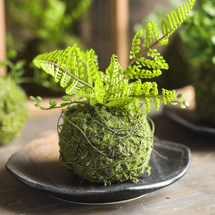 Mossy Meadow Foam Ball by RusticReach with moss and fern topper in a wire-wrapped base on Tampa Home & Garden Store