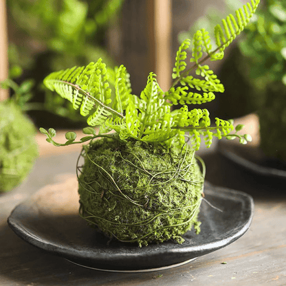 Mossy Meadow Foam Ball by RusticReach with moss and fern topper in a wire-wrapped base on Tampa Home & Garden Store